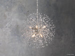 Dandelion Round Chandelier