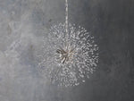 Dandelion Round Chandelier