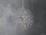 Dandelion Round Chandelier