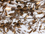 Fiore Garden Petal Twig Crown Chandelier