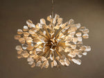Lunaria Round Chandelier