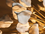 Lunaria Ceramic Petal Round Chandelier
