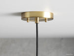 Organic Fluid Glass Pendant Light