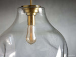 Organic Fluid Glass Pendant Light