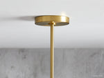 Organic Fluid Glass Pendant Light