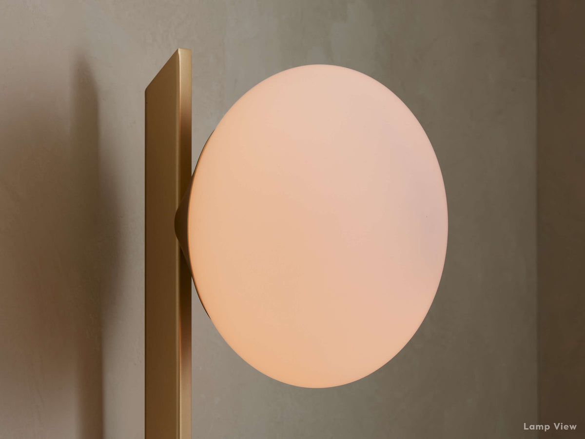 Costella Splayed Globe Wall Sconce