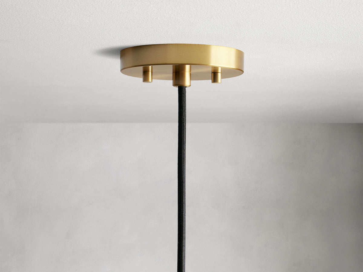Organic Pendant Light